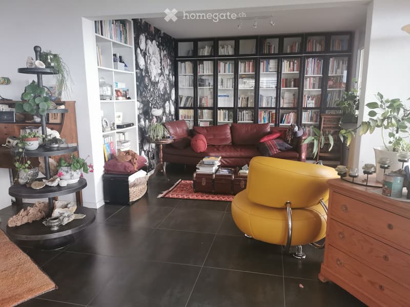 Appartement spacieux et contemporain à louer (4)