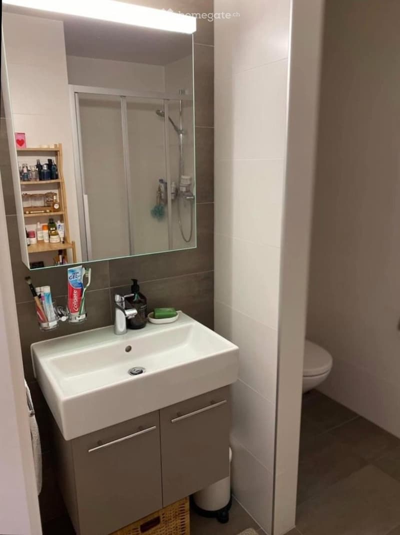 Bel appartement moderne en sous-location à Lutry (5)