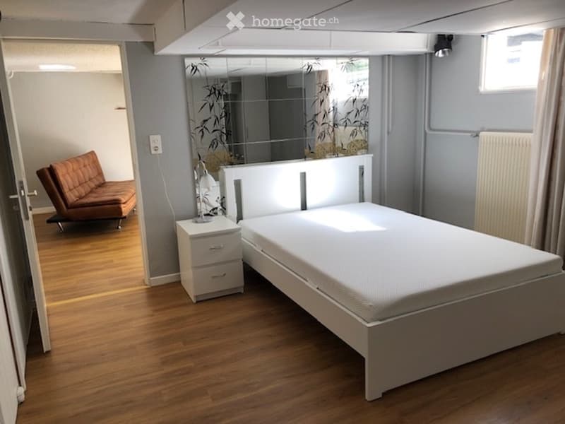Appartement meublé de 54 m2 (4)
