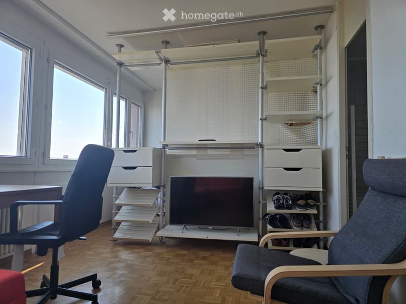 Studio avec vue sur le lac (1)