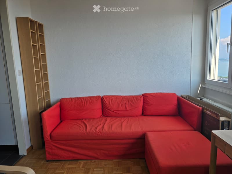 Studio avec vue sur le lac (2)