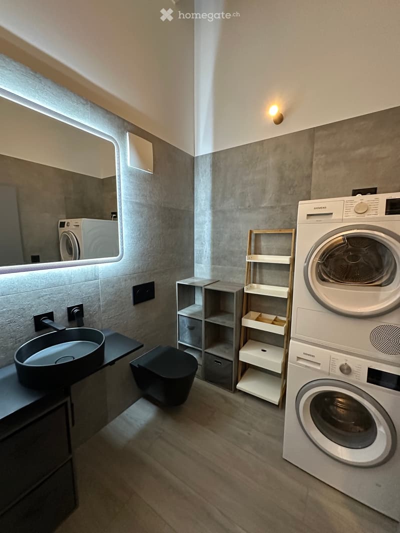Beau studio neuf en attique (4)