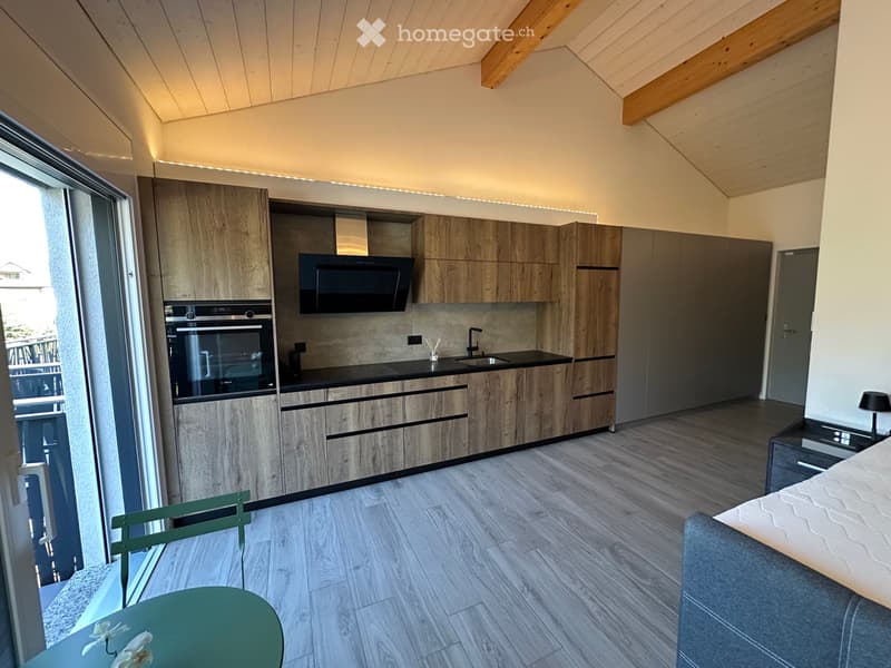 Beau studio neuf en attique (1)