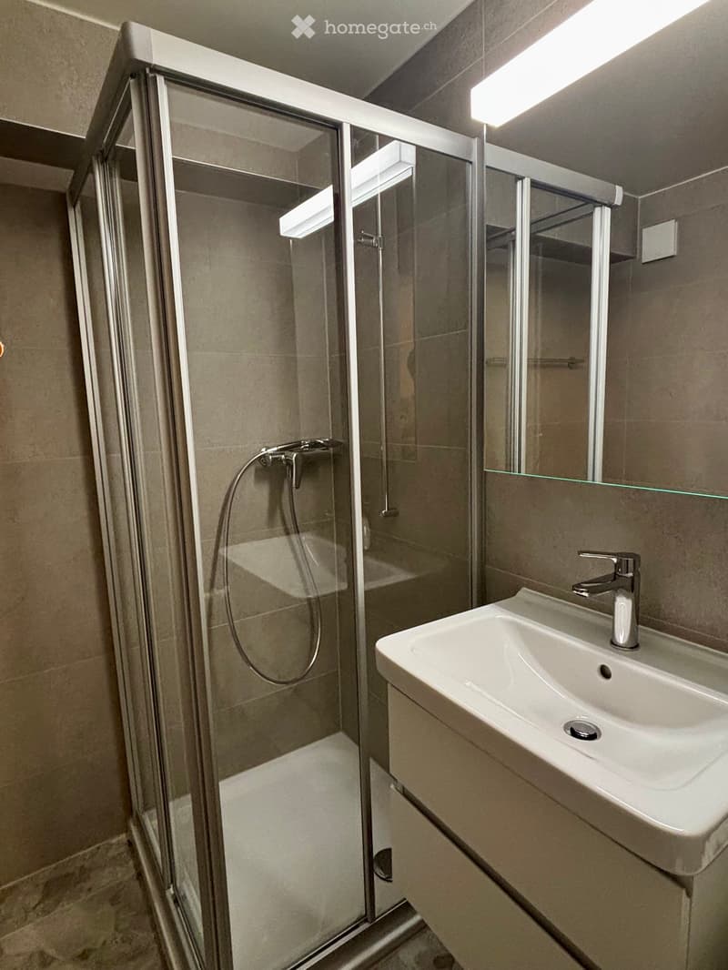 À LOUER Appartement 2½ pièces entièrement rénové à Noville (5)