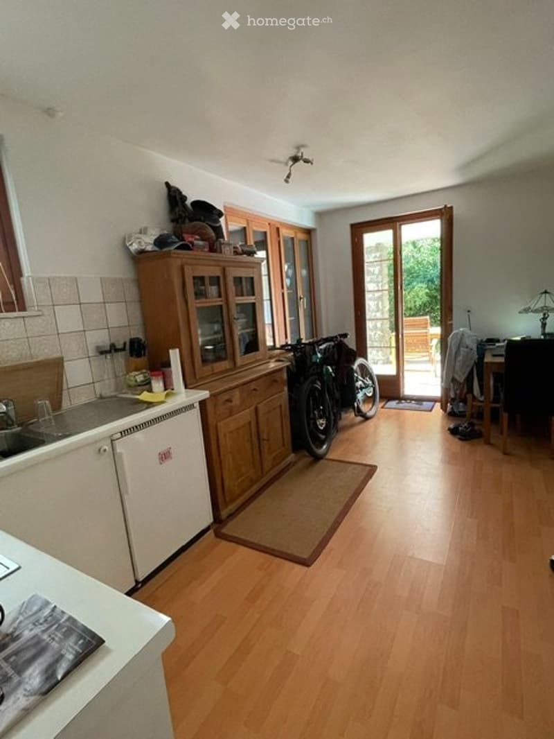 À louer  Charmant petit appartement cosy avec terrasse (2)