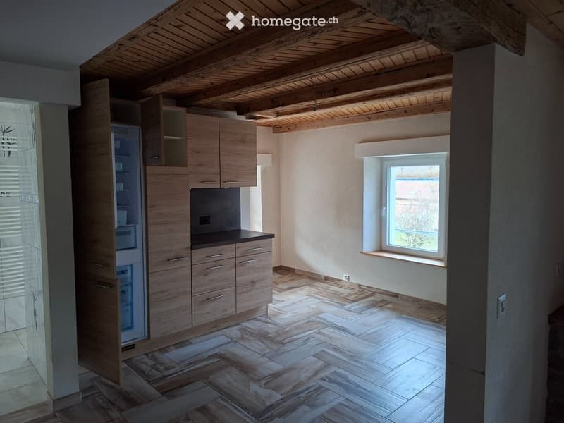 Magnifique 2,5 pièces + mezzanine 25m2 + terasse de 60m2 (2)