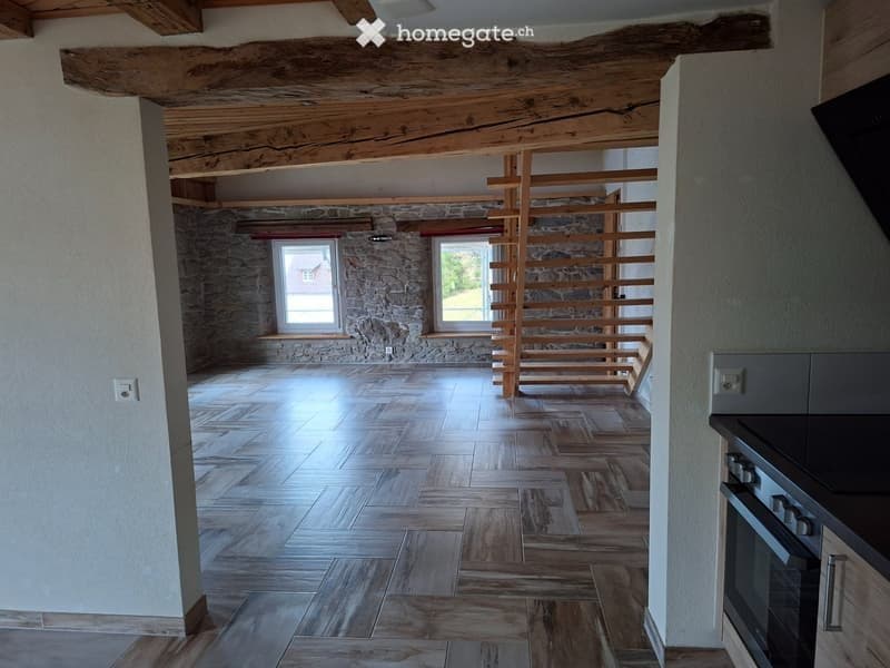 Magnifique 2,5 pièces + mezzanine 25m2 + terasse de 60m2 (3)