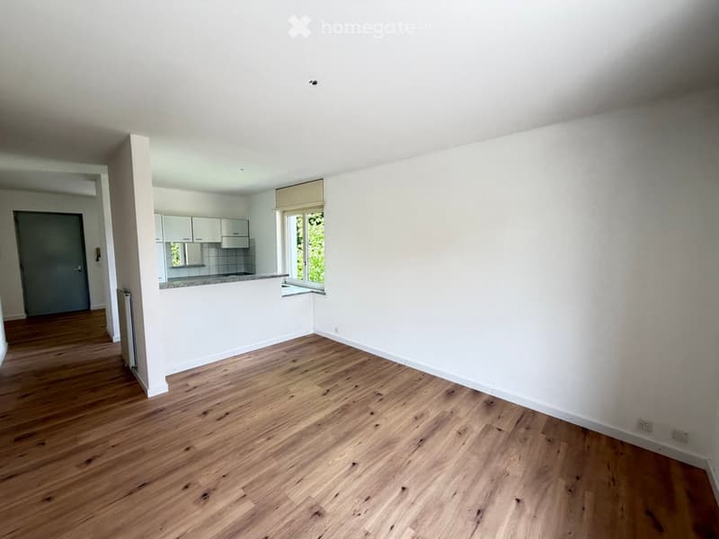 3.5 pièces - 76m² - charmante rénovation proche commodités (1)