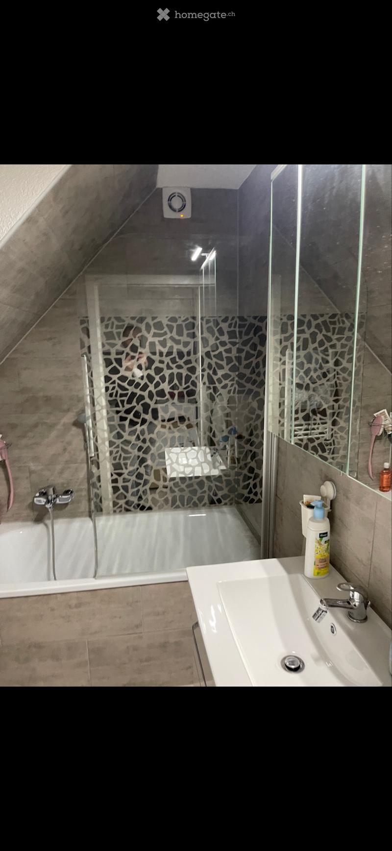 Apparemment 3,5 pièces (5)