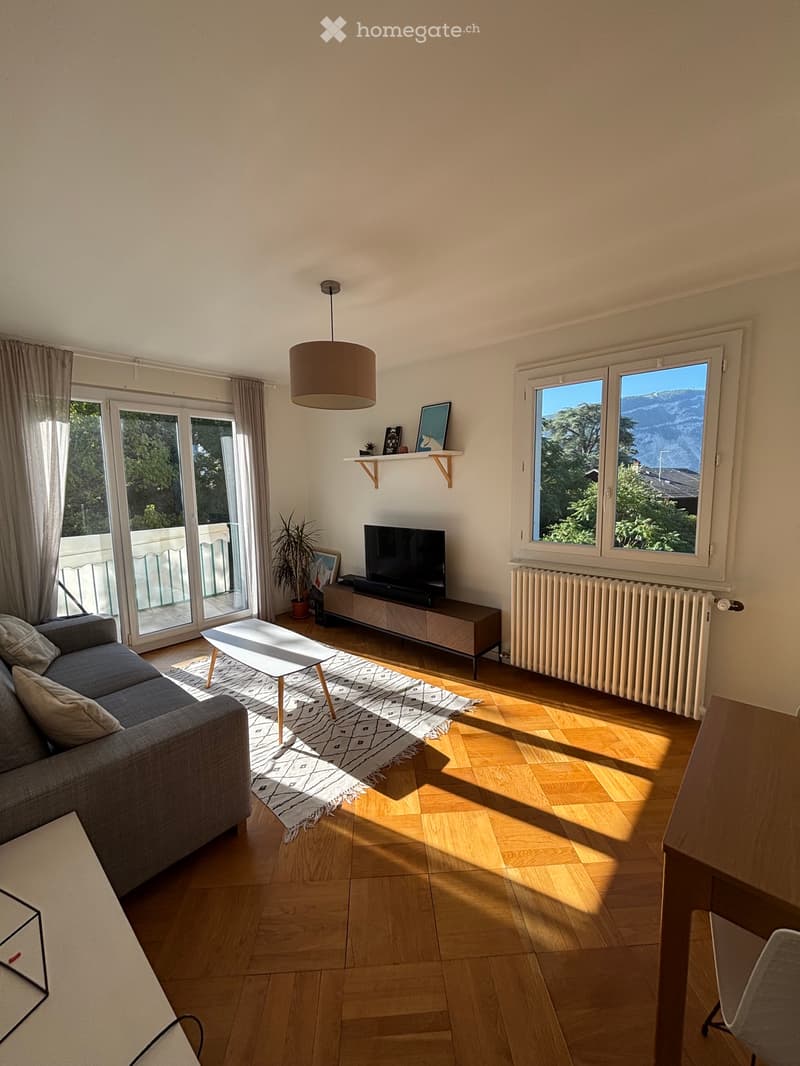 Appartement 3.5 pièces (1)