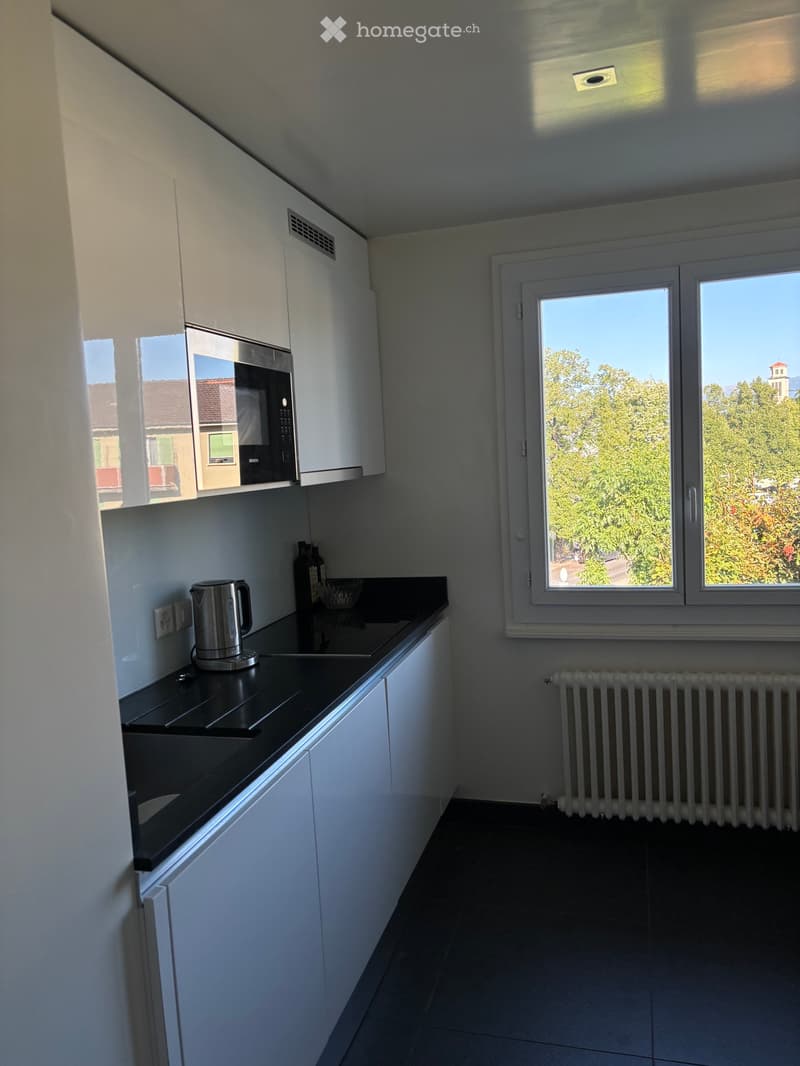 Appartement 3.5 pièces (2)