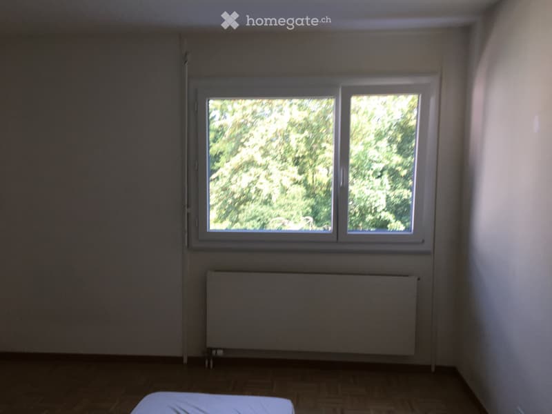 Bel appartement 3.5 pièce (3)