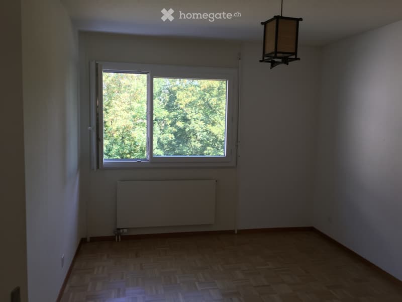 Bel appartement 3.5 pièce (4)