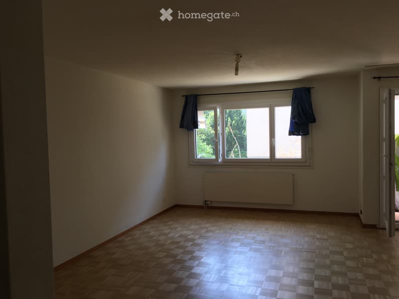 Bel appartement 3.5 pièce (5)