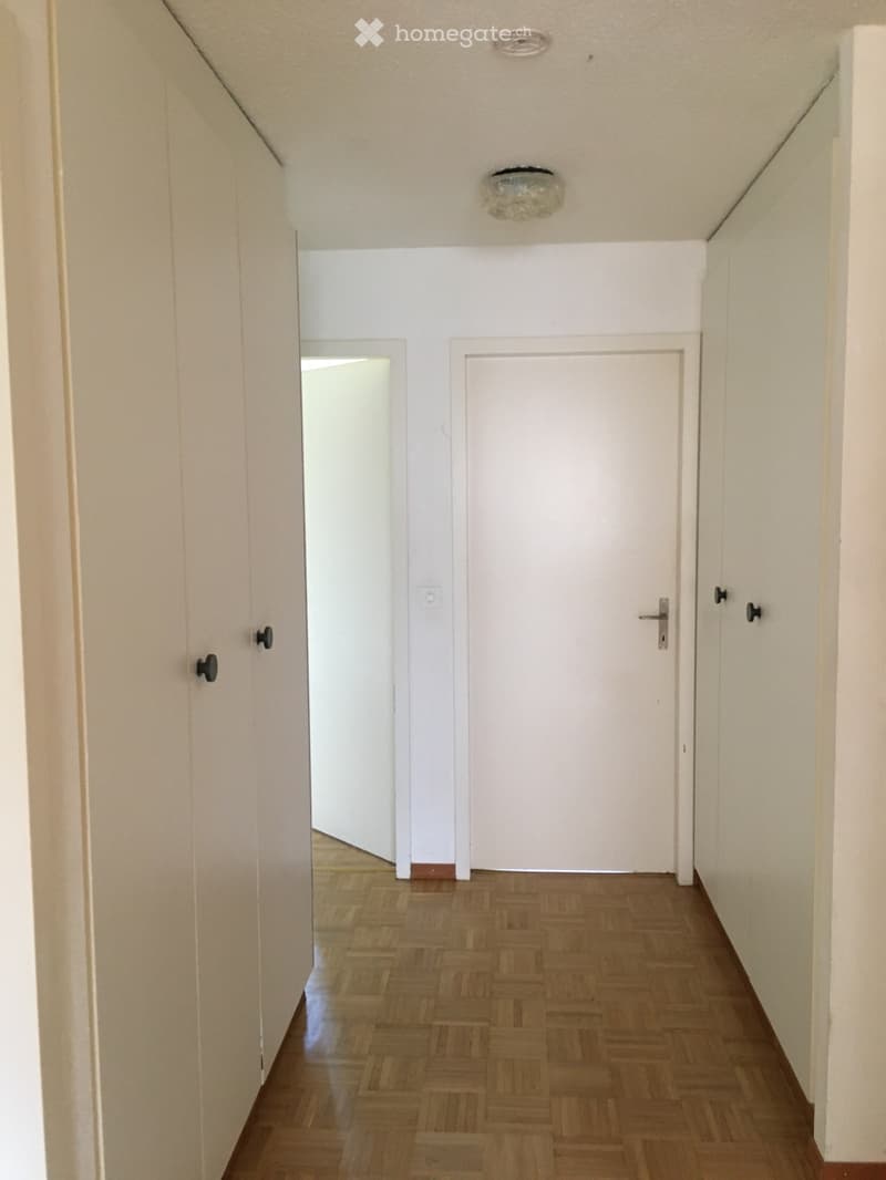 Bel appartement 3.5 pièce (2)