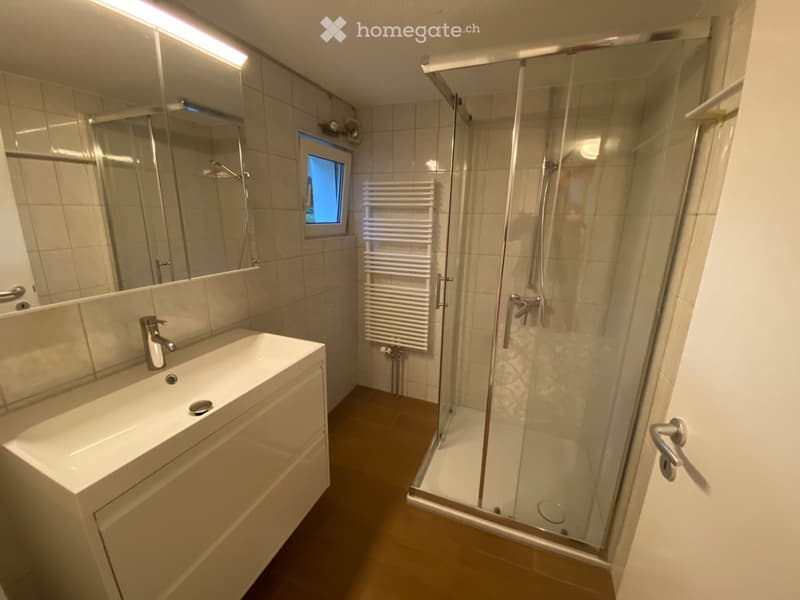 Appartement de 3.5 pces (115m2) dans maison familiale (5)