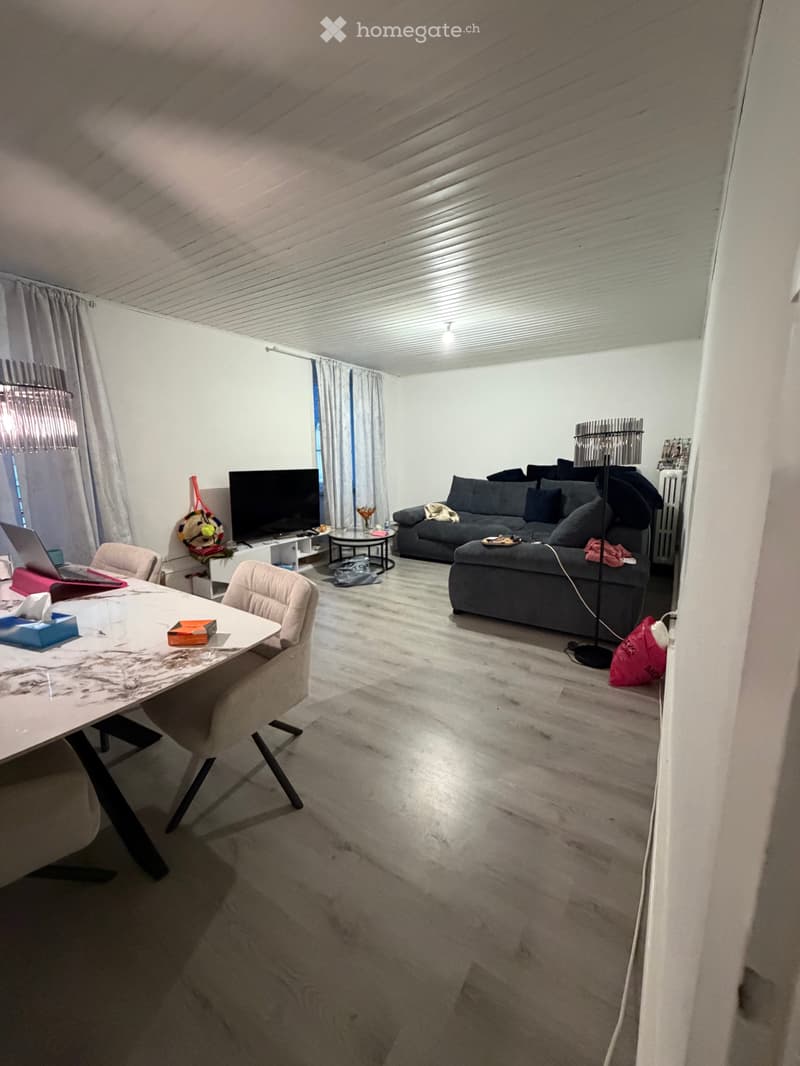 Sous-location Appartement 3,5 pièces meublé (3)