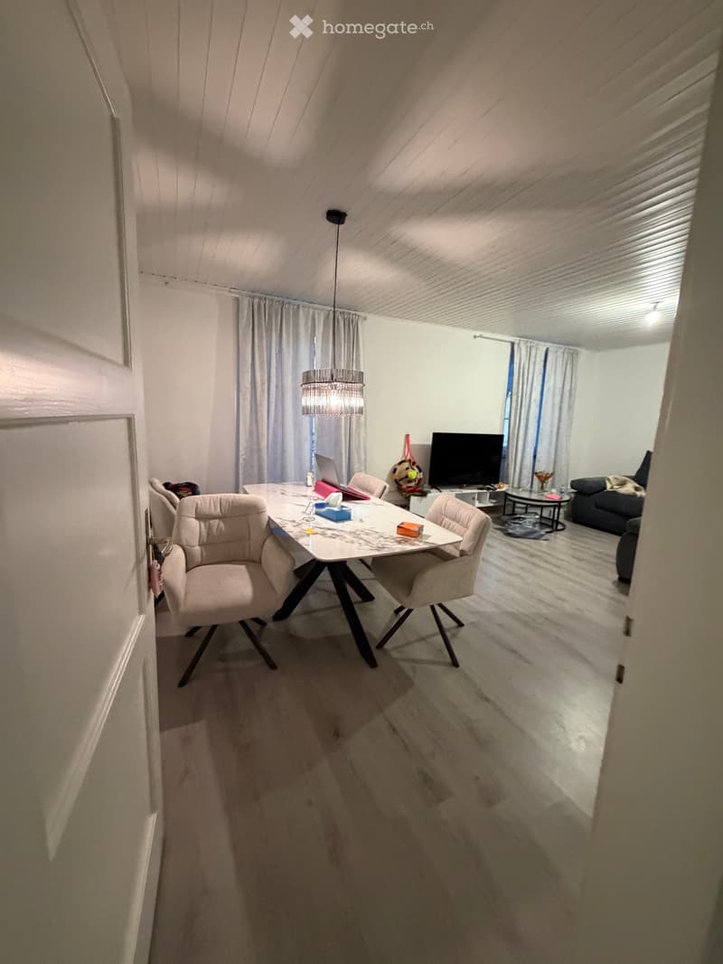 Sous-location Appartement 3,5 pièces meublé (2)
