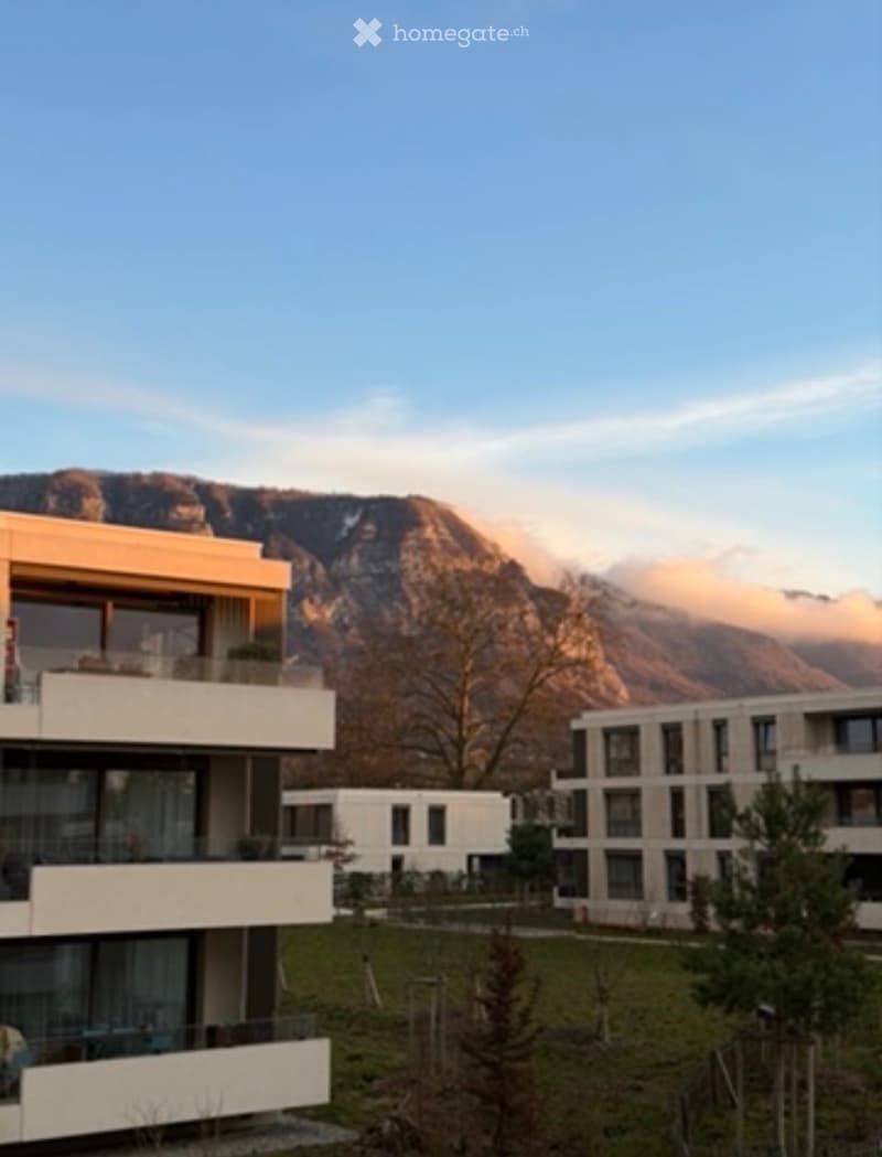 Magnifique 5 pièces de 120 m² avec terrasse - Parc des Crêts (10)