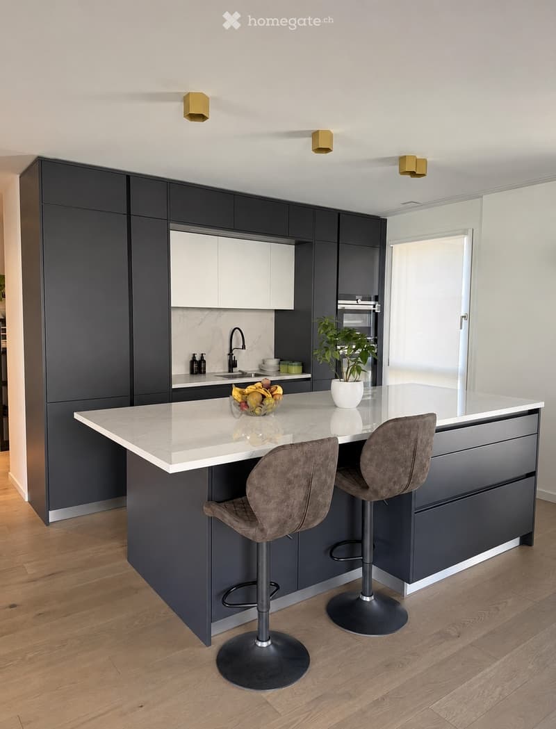 Magnifique 5 pièces de 120 m² avec terrasse - Parc des Crêts (4)