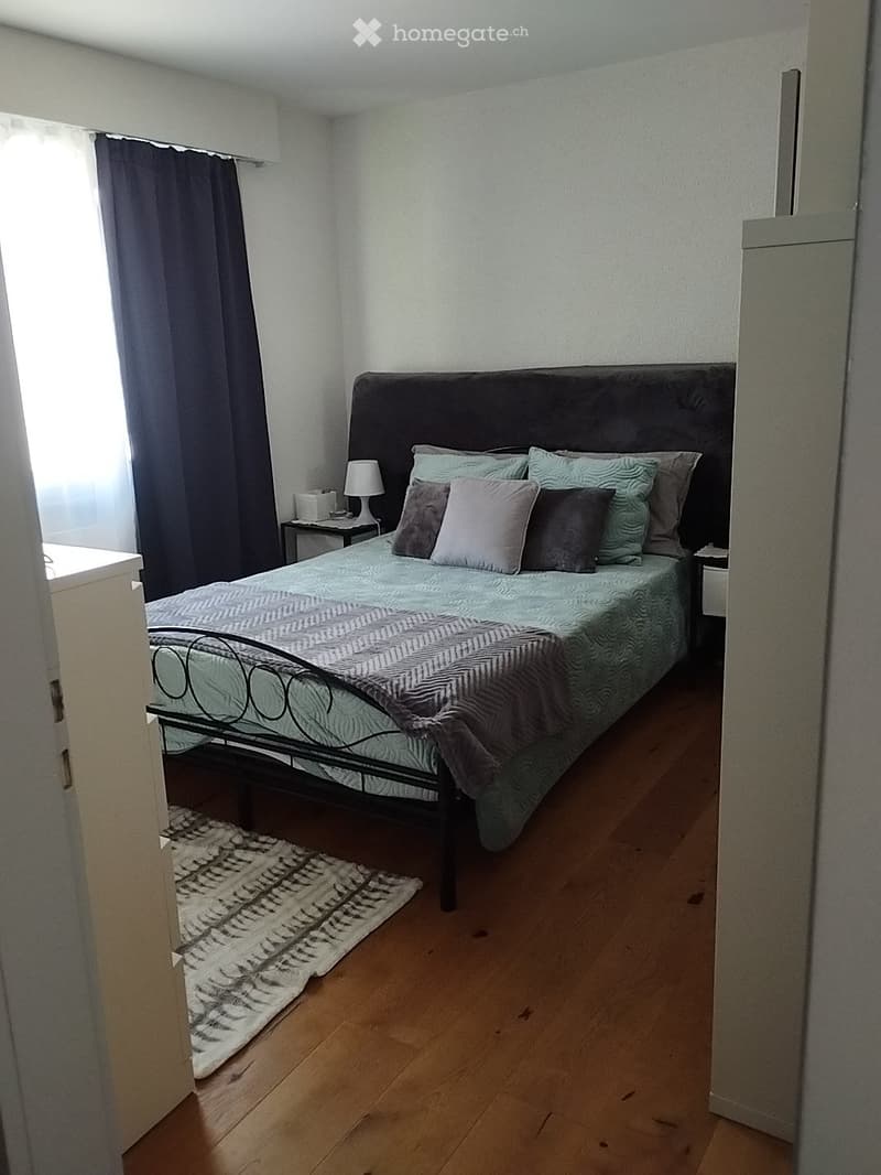 Charmant appartement 3 pièces 1/2 (3)