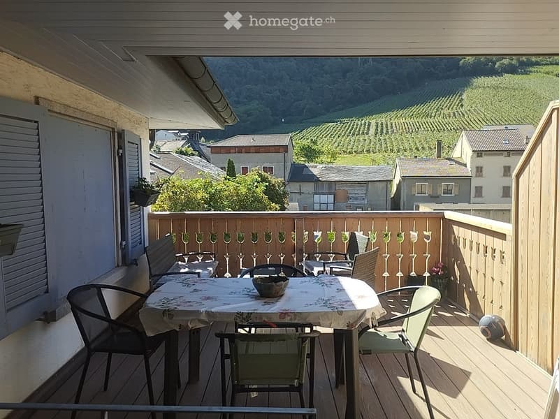Charmant appartement 3 pièces 1/2 (5)