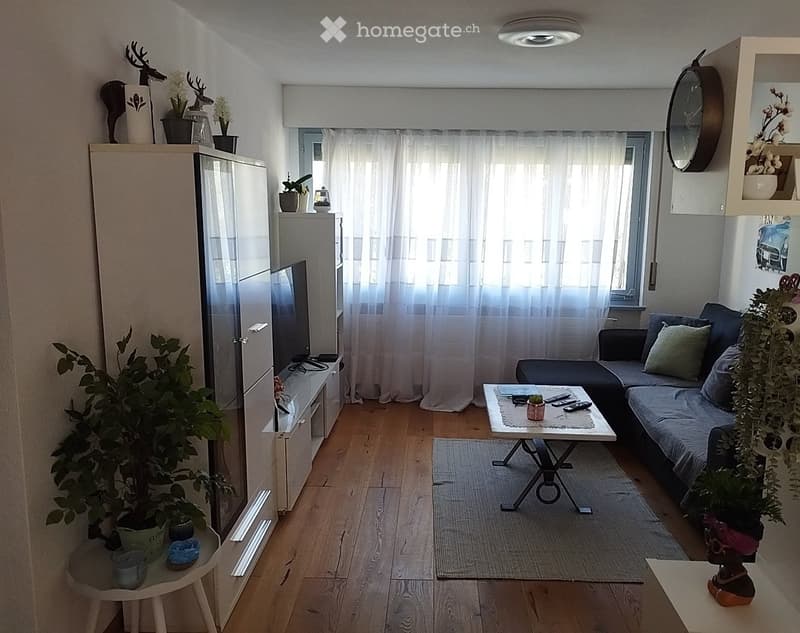 Charmant appartement 3 pièces 1/2 (4)
