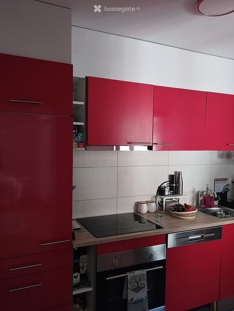 Charmant appartement 3 pièces 1/2 (2)