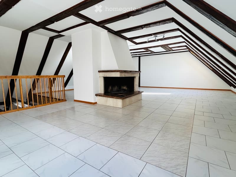 Superbe duplex de 130 m², 4,5 pièces (1)