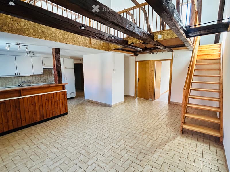 Superbe duplex de 130 m², 4,5 pièces (2)