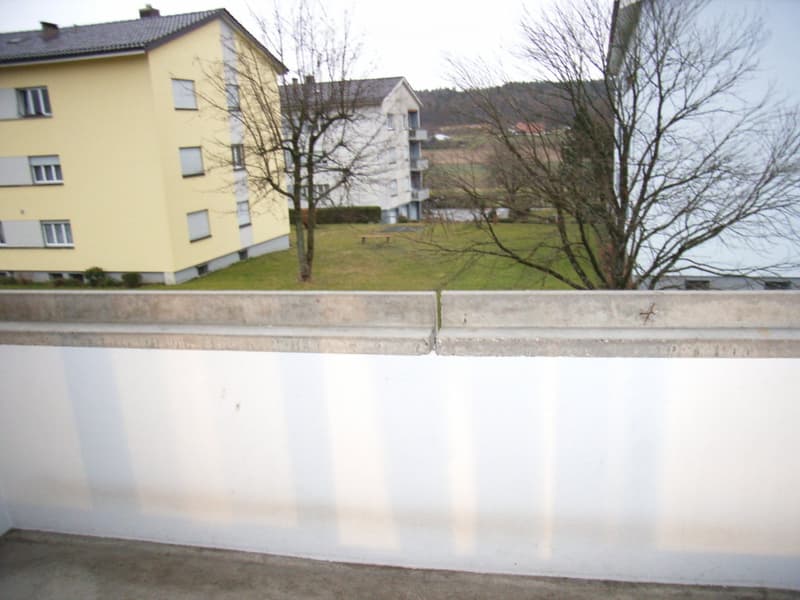 günstige 2.5 Zimmer Wohnung (4)