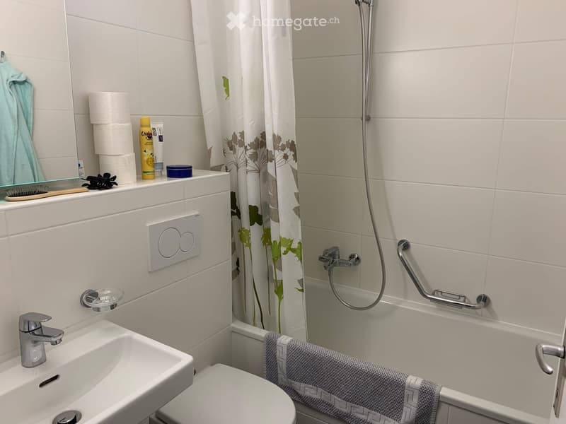 Sous location appartement Epalinges (4)