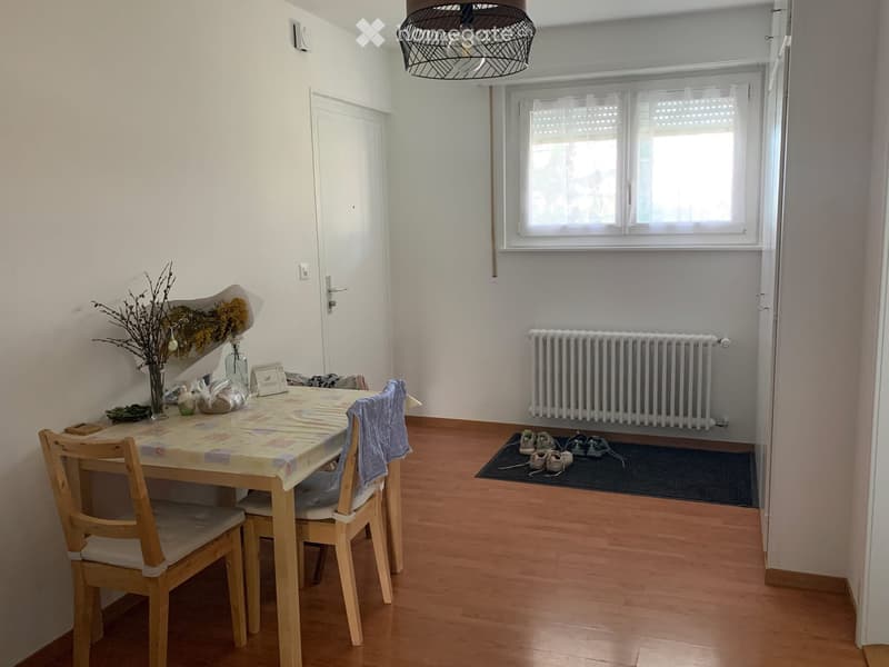 Sous location appartement Epalinges (1)