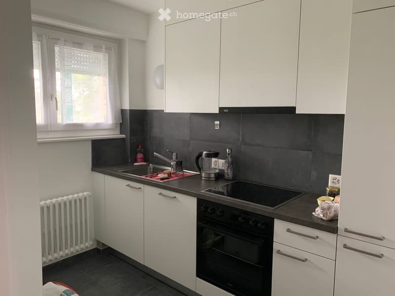 Sous location appartement Epalinges (5)