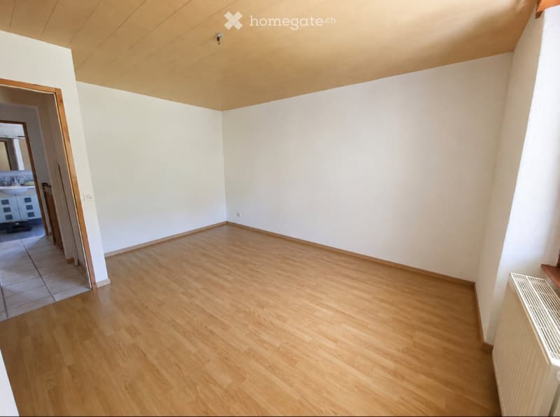 Appartement duplex de 5 pièces au rez-de-chaussée (4)