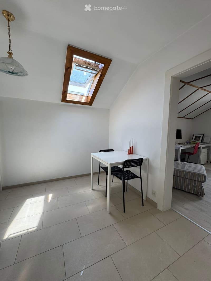 Bel appartement lumineux 2.5 pièces à Givisiez (5)