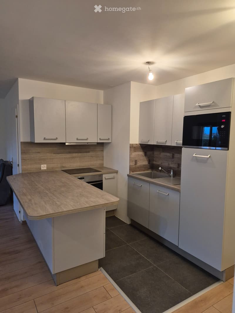 location appartement à Jussy (3)