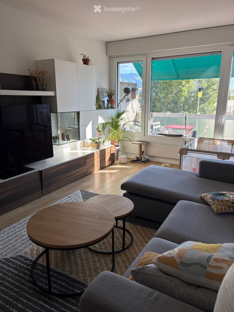 appartement 4.5 pièces à Champel, lumineux et traversant (1)