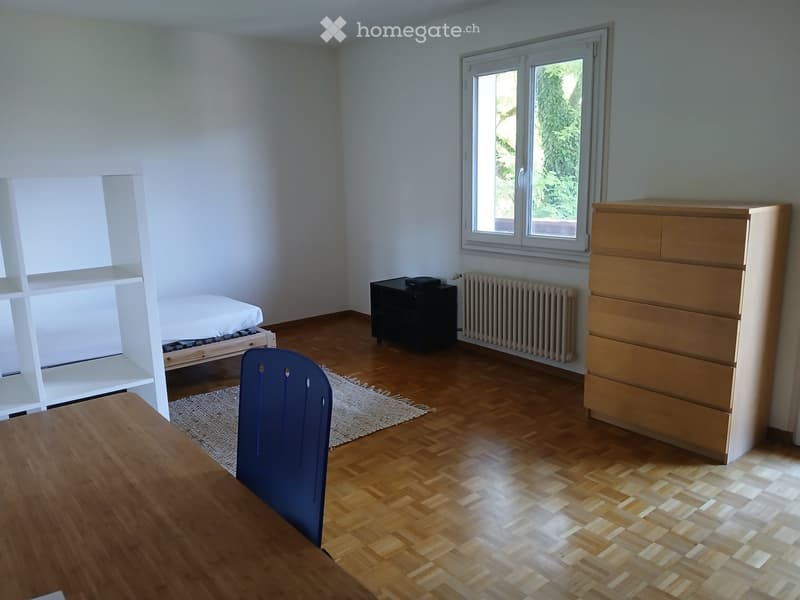 Jolie chambre à loué meublé ou non (2)