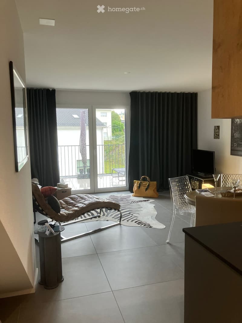 Moudon, 3,5 pces, neuf, duplex, balcon, parking intérieur. (3)