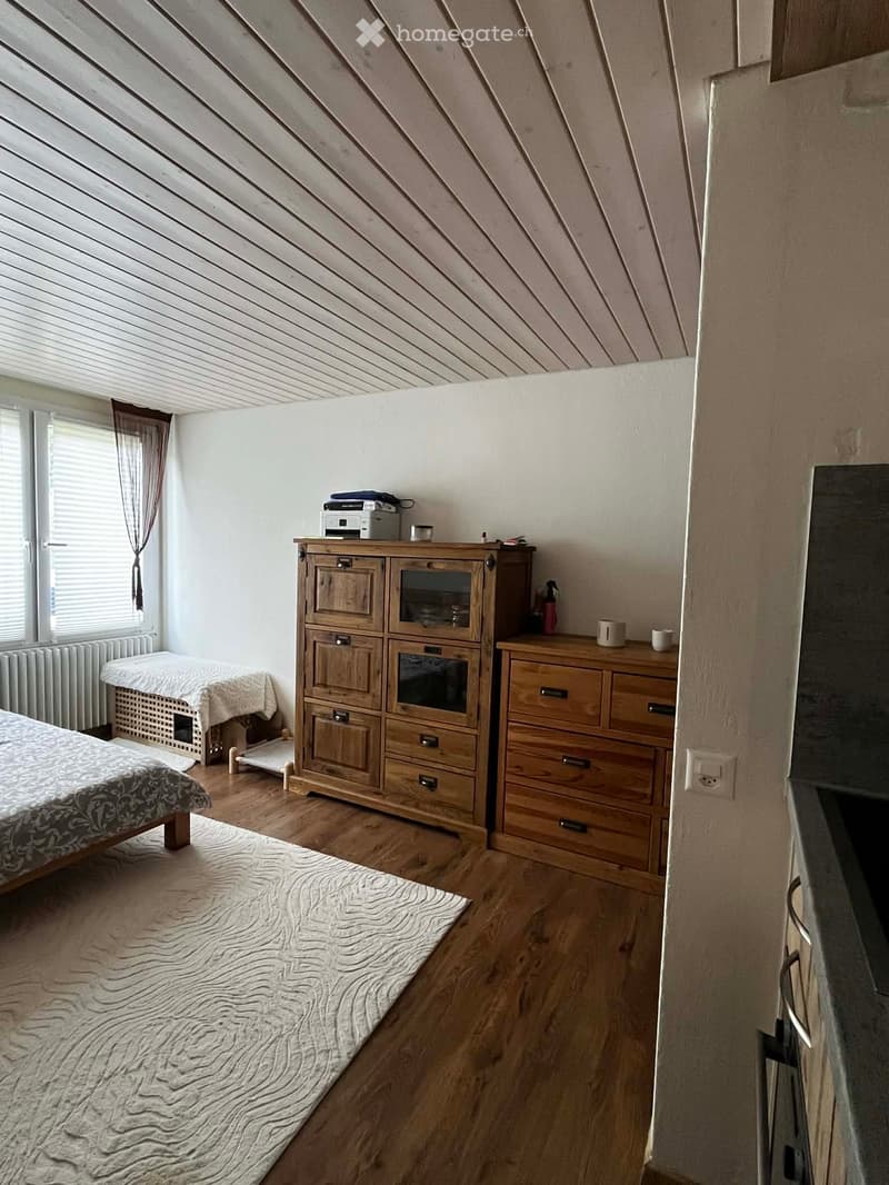 Studio à louer Crans-Montana (2)
