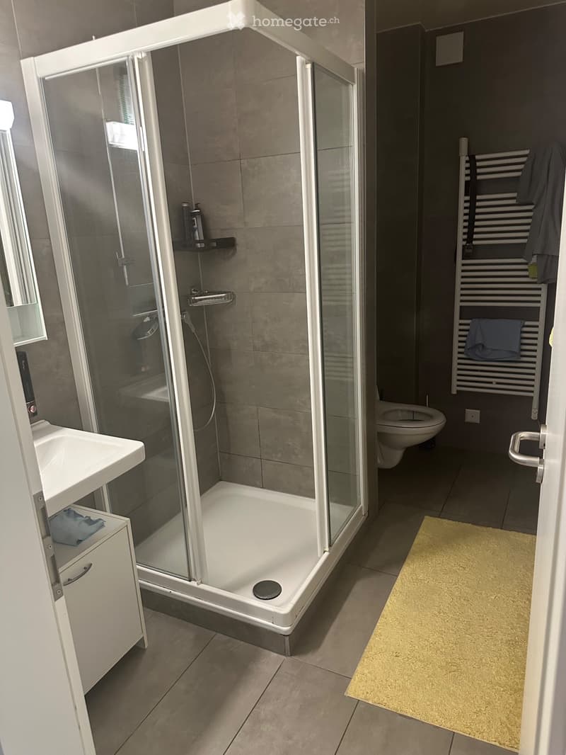 Bel appartement spacieux 1020 Renens Suisse (4)