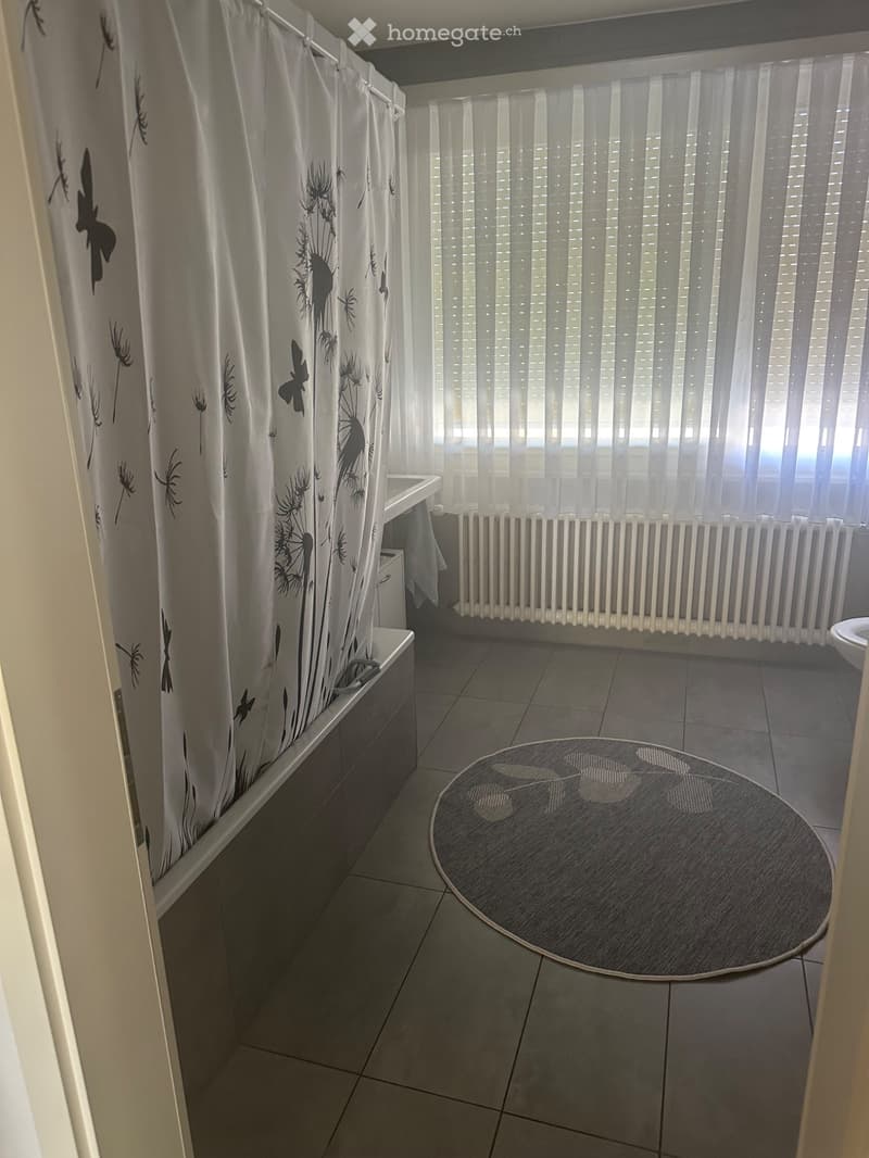 Bel appartement spacieux 1020 Renens Suisse (3)