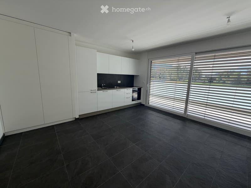Superbe 2.5 pièces dans nouvelle résidence (1)