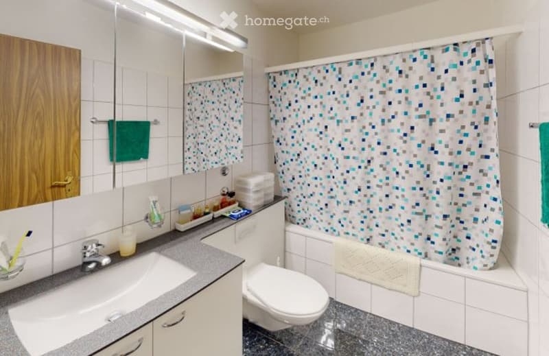 4.5 Zimmerwohnung, Feldgrün 1, 6280 Hochdorf (4)