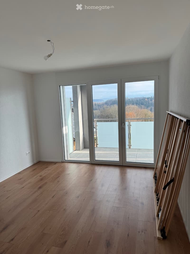 Magnifique appartement de 2,5 pièces (2)