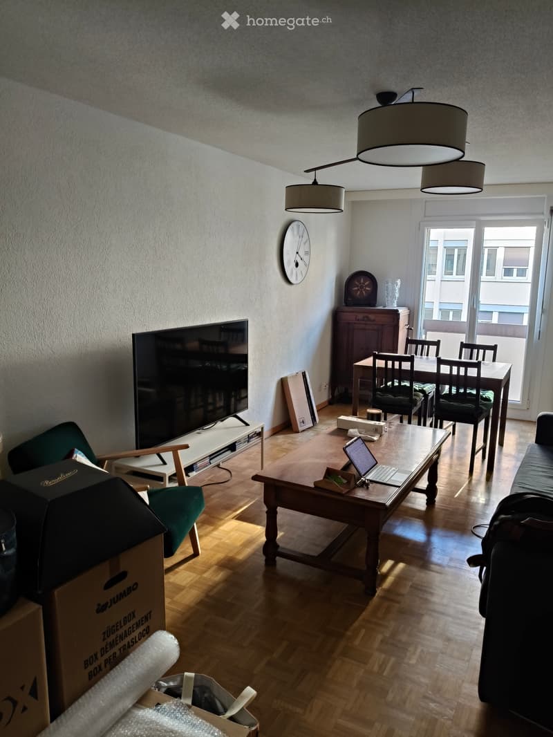 Location Appartement Plainpalais - Bastion - 4 pièces (1)