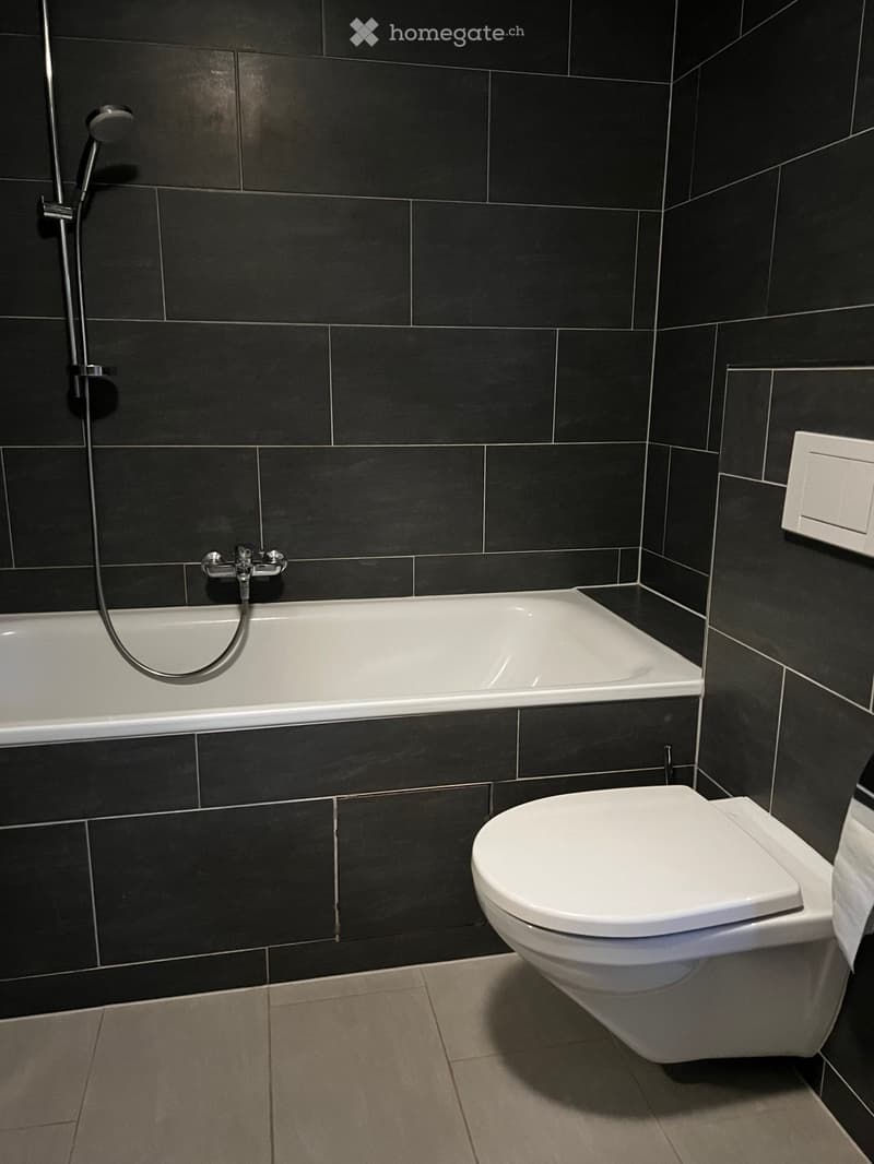 Appartement meublé, vue forêt à Belmont-sur-Lausanne (5)