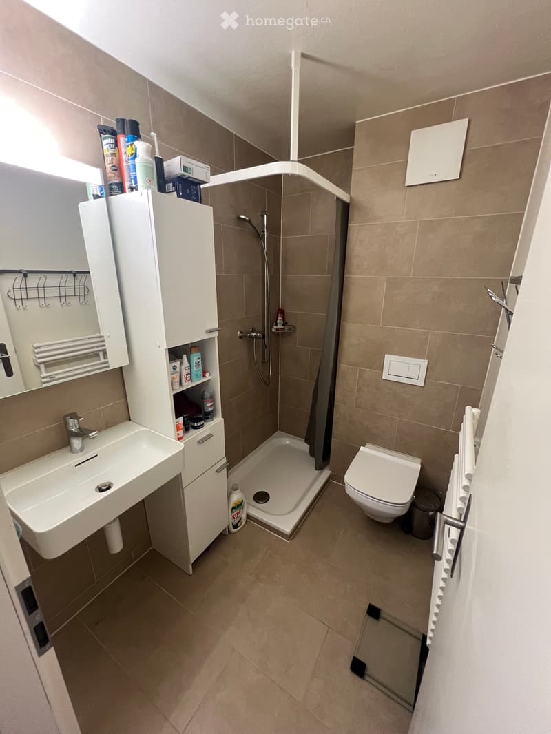 Charmant appartement à louer (4)