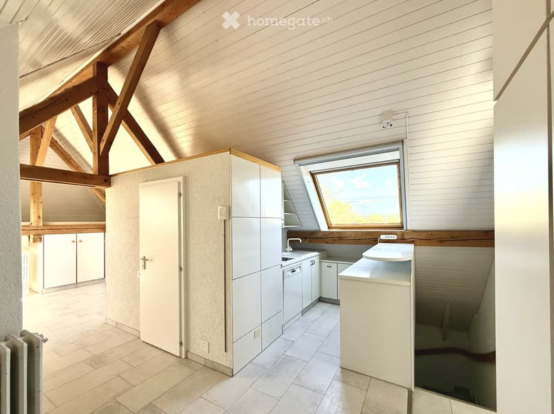 Appartement sous les toits avec accès jardin (3)